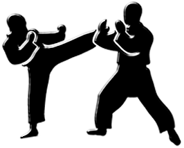 Martial Arts
