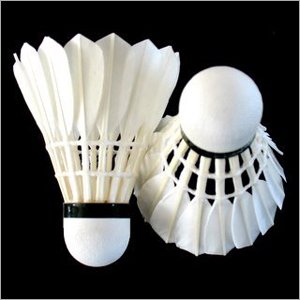 Badminton Equipments